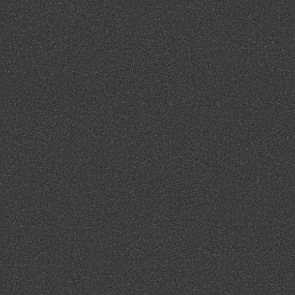 Close-up of Classic Tone Pet Friendly Carpet in Mysterious, featuring a dark, textured surface with a grainy pattern that highlights its durable and stain-resistant qualities.