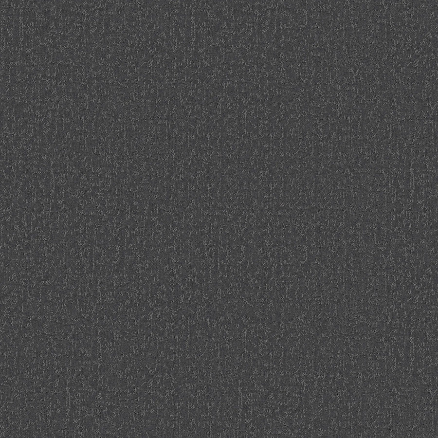 Crafted Tone Pet Friendly Carpet in Mysterious features dark gray textured fabric with a consistent pattern of small, light gray specks, offering a soft yet durable surface ideal for homes with pets.