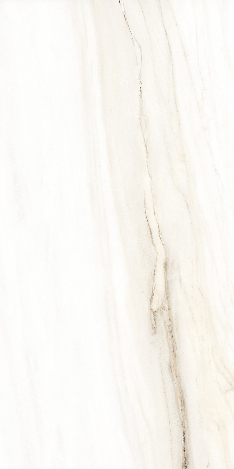 The Donatello 24x48 Porcelain Tile features a white marble surface with light grey and beige veining, offering an elegant, Italian-inspired look perfect for large format applications.