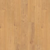 Norwegian Maple