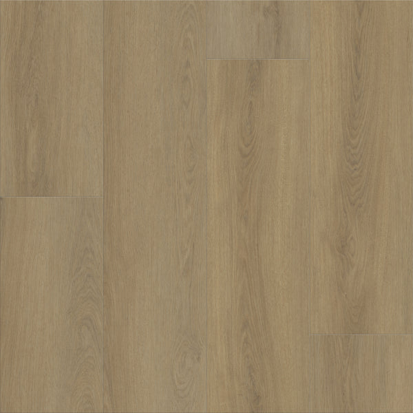 Classic Dwell features light brown flooring with a natural wood grain, subtle knots, and shade variations. Rectangular planks in a staggered layout provide timeless style and practical appeal for any space.
