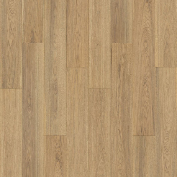 A close-up of Kallan Point 7 1/2