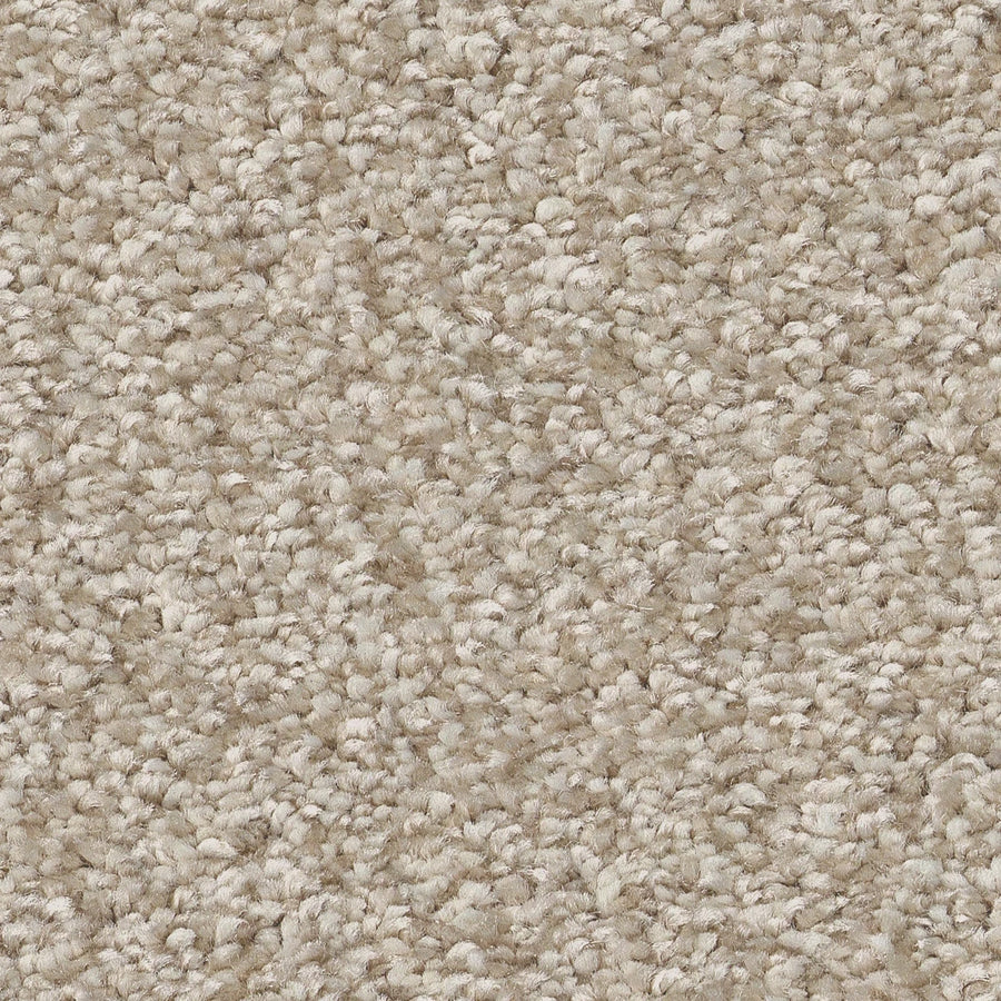 Close-up of You Got This III Pet Friendly Carpet in Natural—a beige, textured surface with short, tightly woven fibers, offering softness and durability for comfortable modern flooring.