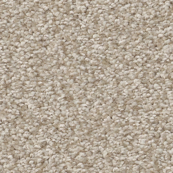 Close-up of You Got This III Pet Friendly Carpet in Natural—a beige, textured surface with short, tightly woven fibers, offering softness and durability for comfortable modern flooring.