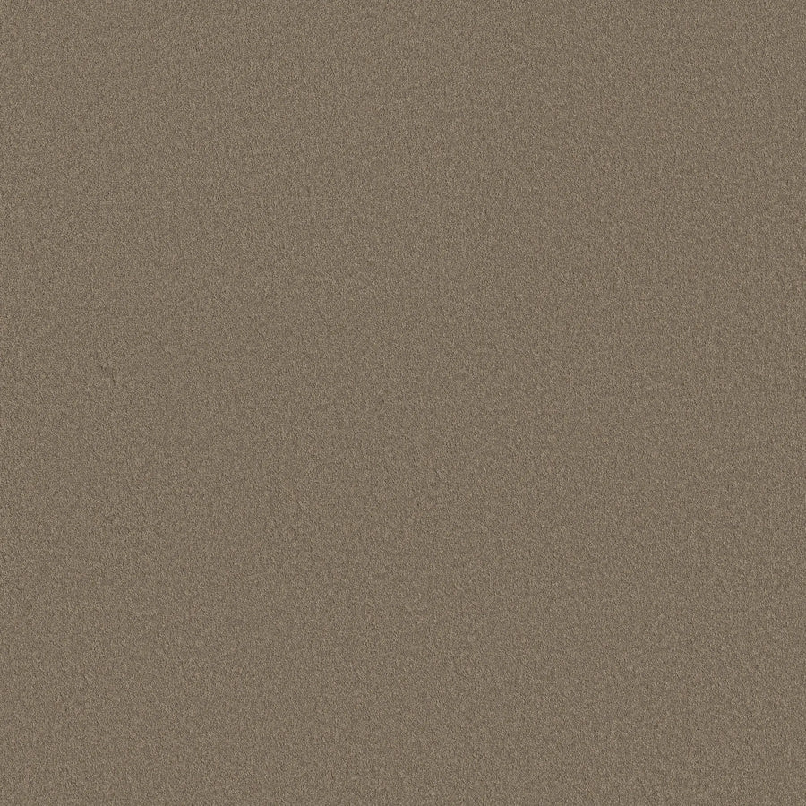 Close-up view of Smooth Tone Pet Friendly Carpet in Natural Stone color, showing a fine, uniform, slightly textured surface with no distinct patterns or features—resembling soft brown sand.