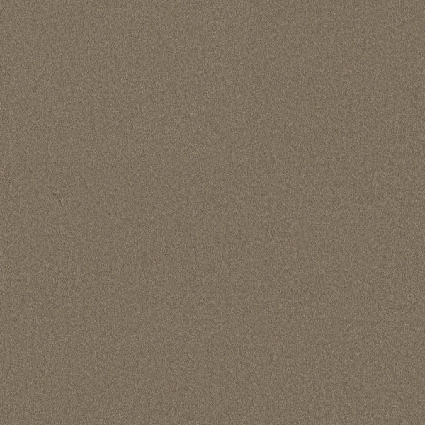Close-up view of Smooth Tone Pet Friendly Carpet in Natural Stone color, showing a fine, uniform, slightly textured surface with no distinct patterns or features—resembling soft brown sand.