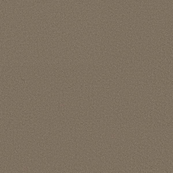 Close-up view of the smooth, even surface of Classic Tone Pet Friendly Carpet in Natural Stone, featuring fine grains and a uniform, slightly textured appearance that's both durable and ideal for pets.