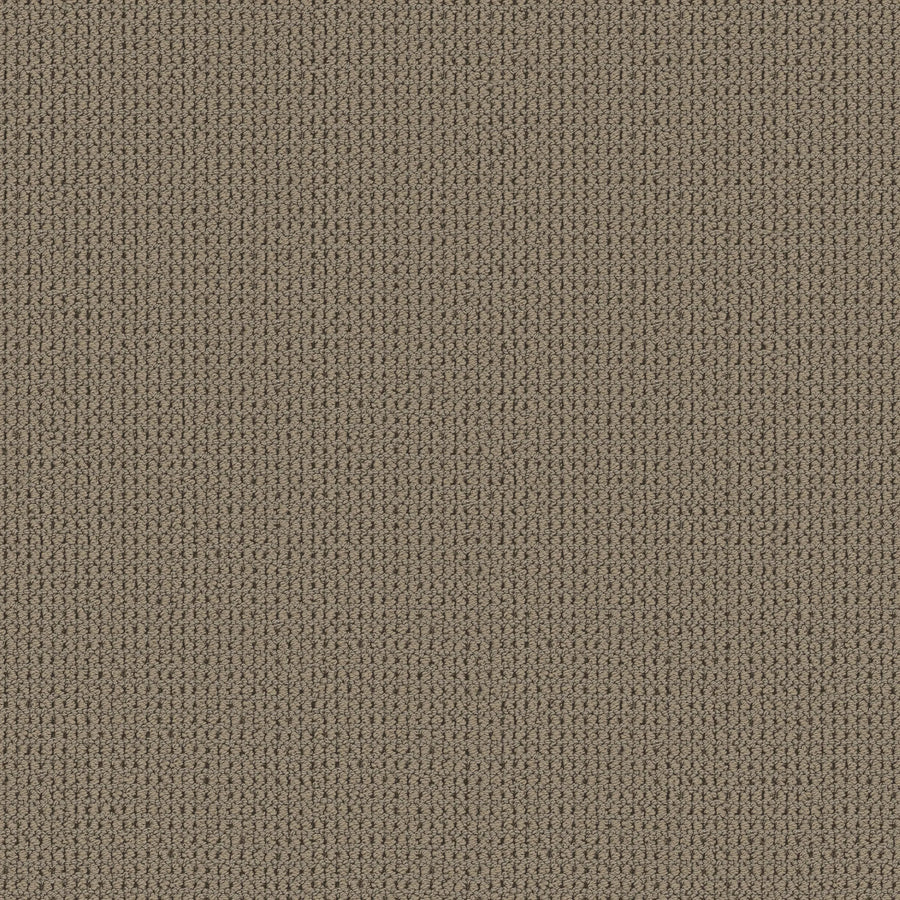 Close-up of Knitted Tone Blue Pet Friendly Carpet in Natural Stone color, featuring a textured, tightly knit pattern that resembles luxurious flooring and adds a warm, cozy feel.