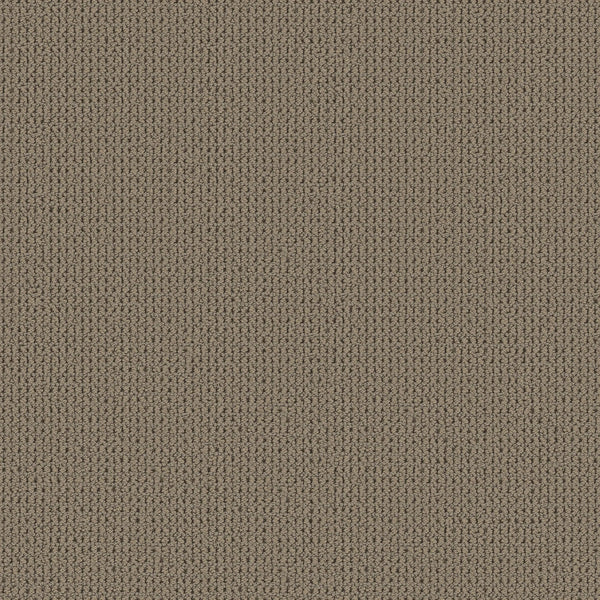 Close-up of Knitted Tone Blue Pet Friendly Carpet in Natural Stone color, featuring a textured, tightly knit pattern that resembles luxurious flooring and adds a warm, cozy feel.