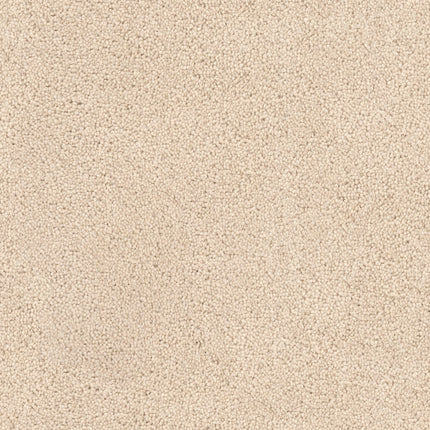Close-up of Tribute Family Friendly Carpet in Naturelle—a soft, dense, and textured surface that's tightly woven, evenly colored, durable, and stain resistant.