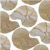 Coast with Cream Brown Stained Glass