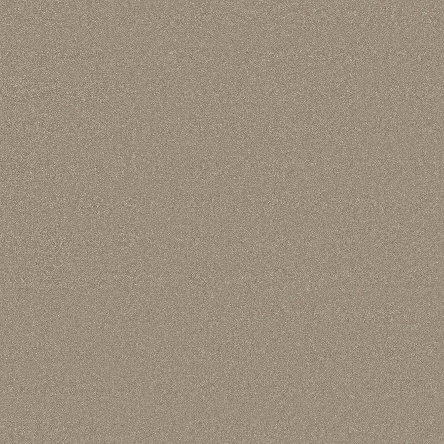 A close-up of the Awaken Spirit Pet Friendly Carpet in Neutral shows its fine, grainy texture with a subtle sparkle, combining durability and contemporary style reminiscent of sandpaper or glittery sand.