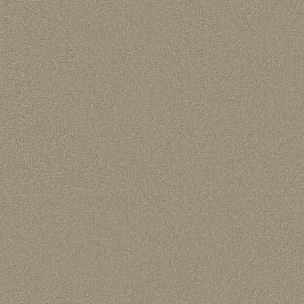 A close-up of the Awaken Spirit Pet Friendly Carpet in Neutral shows its fine, grainy texture with a subtle sparkle, combining durability and contemporary style reminiscent of sandpaper or glittery sand.