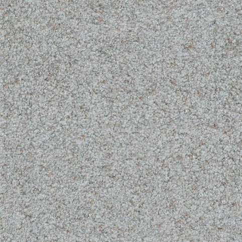 Close-up of the Boca Raton Family Friendly Carpet in Never Ending color, featuring a light gray, textured surface with tightly woven fibers. The premium material is durable yet soft, providing a uniform and subtle background for any space.