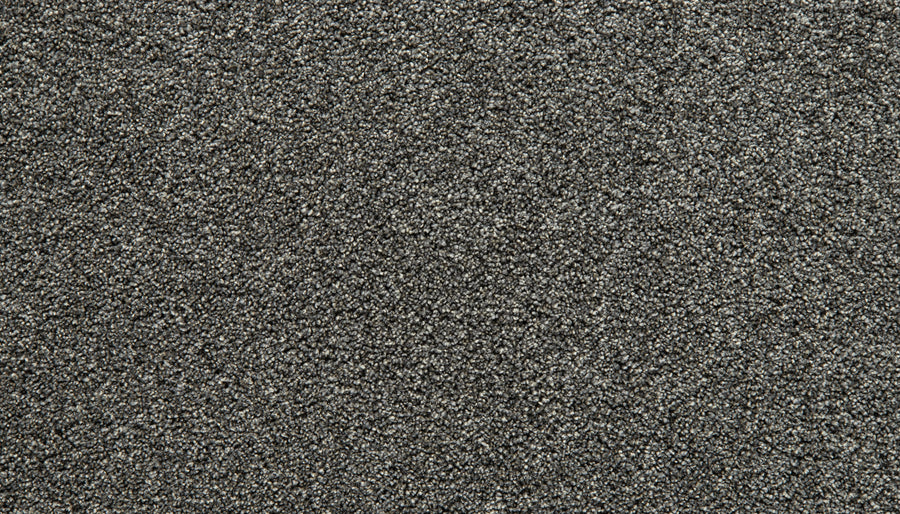 A close-up view of the Cozy Companion Pet Friendly Carpet in New Moon showcases its textured, dark gray surface with a dense, looped pile pattern that emphasizes both plush comfort and durable, pet-friendly design.