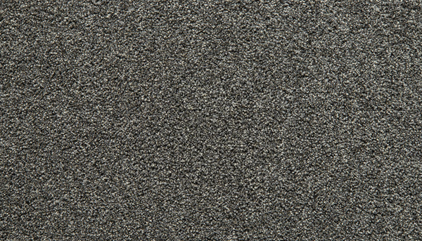 A close-up view of the Cozy Companion Pet Friendly Carpet in New Moon showcases its textured, dark gray surface with a dense, looped pile pattern that emphasizes both plush comfort and durable, pet-friendly design.