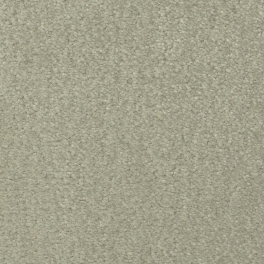 Close-up view of Seduction On Trend Carpet in New Leaf, featuring tightly packed, short fibers. The uniform, soft texture with subtle speckles offers elegant and durable flooring—ideal for sophisticated interiors.