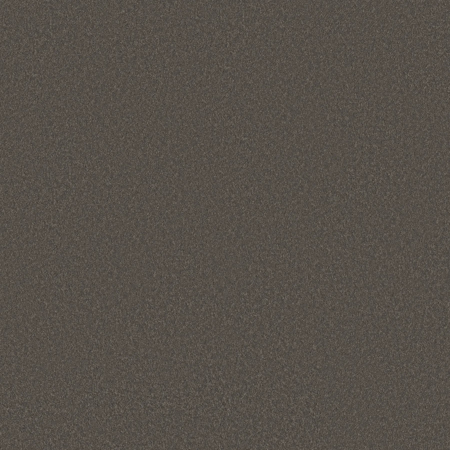 A close-up of the Smooth Tone Pet Friendly Carpet in Night Owl color reveals a dark brown, subtly textured surface with fine, speckled details.