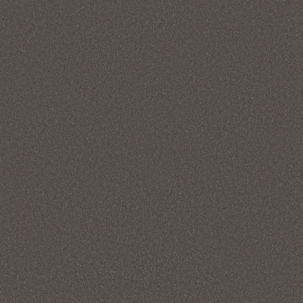 A close-up of the Smooth Tone Pet Friendly Carpet in Night Owl color reveals a dark brown, subtly textured surface with fine, speckled details.