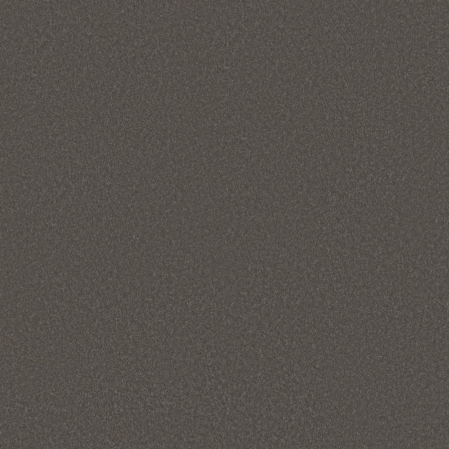 A close-up of the Classic Tone Blue Pet Friendly Carpet in Night Owl, showing its dark, textured surface with fine, evenly distributed grains.