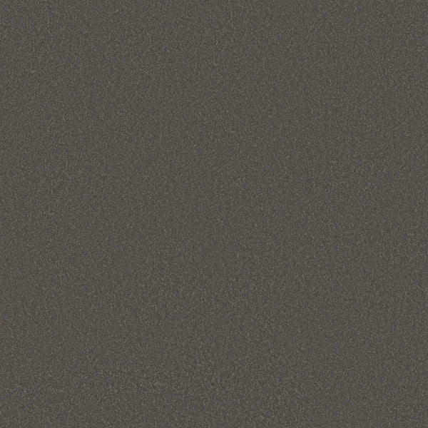 A close-up of the Classic Tone Blue Pet Friendly Carpet in Night Owl, showing its dark, textured surface with fine, evenly distributed grains.