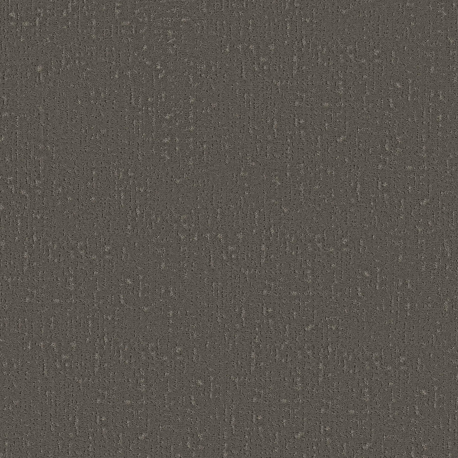 Curated Tone Pet Friendly Carpet in Night Owl features a dark gray textured surface with a woven fabric look. Its subtle, irregular pattern offers durability and stain resistance—perfect for pet owners seeking style and function.