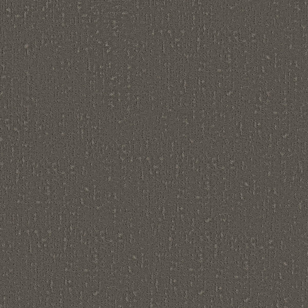 Curated Tone Blue Pet Friendly Carpet in Night Owl features a dark gray textured surface with a subtle, irregular woven-like pattern. Its durable, uniform finish makes it an excellent choice for homes with pets.