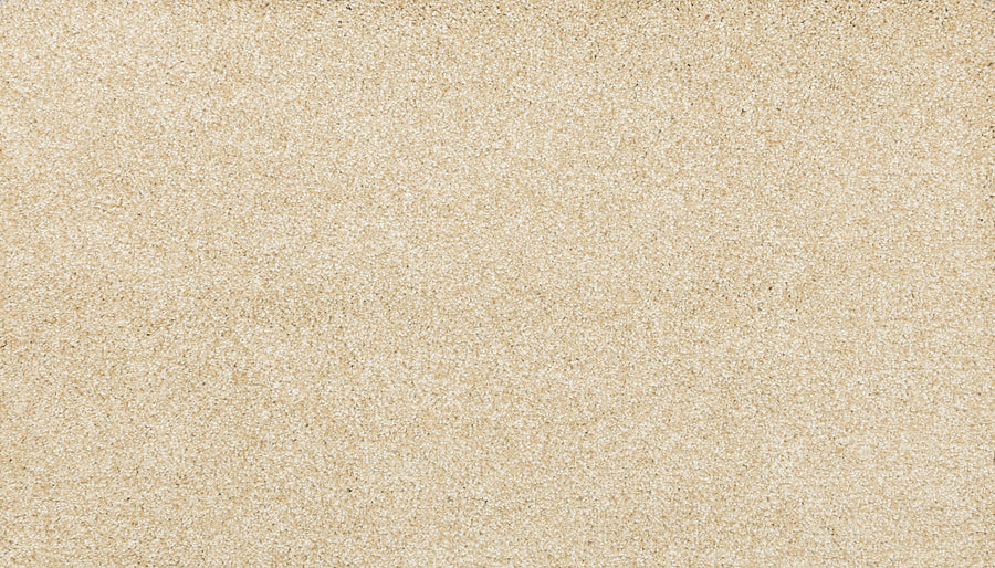 Close-up of Noble Surface Pet Friendly Carpet in Honey Cream, showing its sandy, beige texture—resembling fine grains of sand—designed for durability and to be pet friendly.