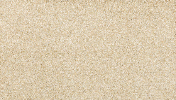 Close-up of Noble Surface Pet Friendly Carpet in Honey Cream, showing its sandy, beige texture—resembling fine grains of sand—designed for durability and to be pet friendly.