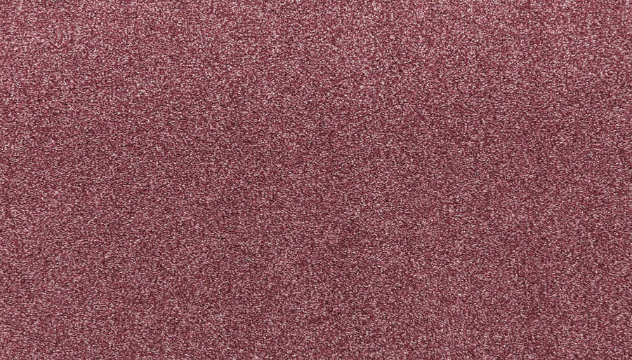 Close-up of the Noble Surface Pet Friendly Carpet in Sangria, featuring a textured, uniform surface with fine reddish-pink fibers and a stain-resistant finish.