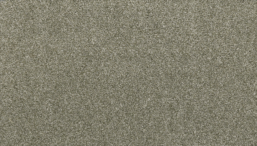 Close-up of the Noble Surface Pet Friendly Carpet in Sage, featuring a textured, durable surface with fine fibers for a uniform, slightly shimmering look. Stain resistant and ideal for homes with pets.
