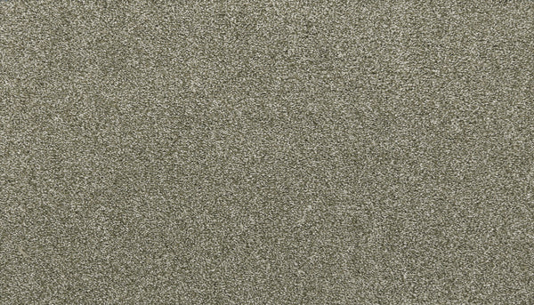 Close-up of the Noble Surface Pet Friendly Carpet in Sage, featuring a textured, durable surface with fine fibers for a uniform, slightly shimmering look. Stain resistant and ideal for homes with pets.