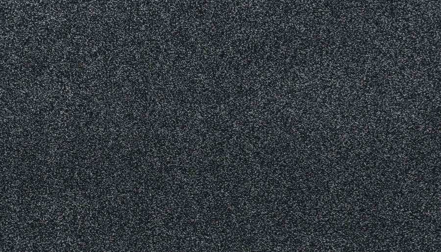 Close-up of Noble Surface Pet Friendly Carpet in Ocean Jewel—a textured, dark gray with dense, soft, and slightly speckled fibers. Its uniform surface ensures durability, making it ideal for busy homes with pets.