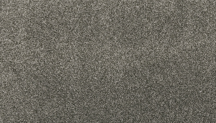 Close-up of Noble Surface Pet Friendly Carpet in Inverness color, featuring a textured gray look with dense, irregular specks and a subtle shimmer—ideal for durable, stain-resistant carpet inspiration.