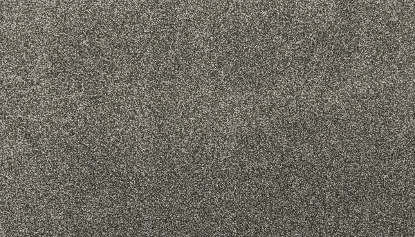 Close-up of Noble Surface Pet Friendly Carpet in Inverness color, featuring a textured gray look with dense, irregular specks and a subtle shimmer—ideal for durable, stain-resistant carpet inspiration.