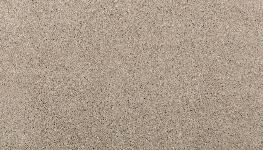 Close-up view of Noble Surface Pet Friendly Carpet in Twine color, featuring a durable, uniformly textured, soft surface with a slightly fuzzy appearance.