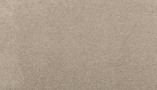 Close-up view of Noble Surface Pet Friendly Carpet in Twine color, featuring a durable, uniformly textured, soft surface with a slightly fuzzy appearance.