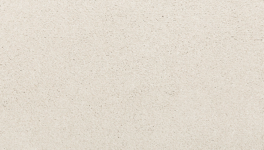 Noble Surface Pet Friendly Carpet in Cimarron features a light beige, matte finish with a subtle textured surface and small bumps—designed for durability and everyday wear.