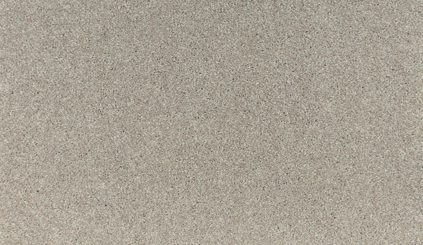 Close-up of Noble Surface Pet Friendly Carpet in Outer Banks color, showing fine, light beige fibers with subtle dark flecks for a uniform, stain-resistant surface designed for durable, pet-friendly comfort. No visible patterns or distinct objects.