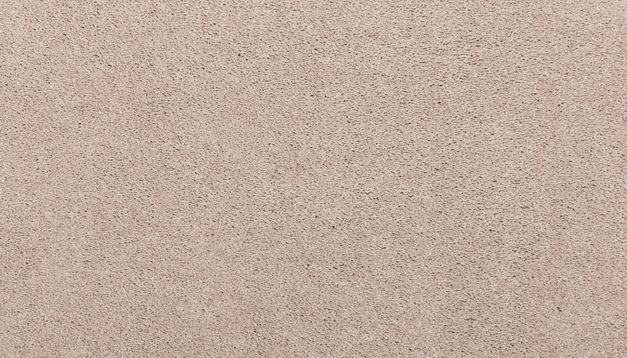 Close-up of Noble Surface Pet Friendly Carpet in Nomad—light beige, stain-resistant, with a soft textured surface, uniform pattern, fine fibers, and subtle color variation.