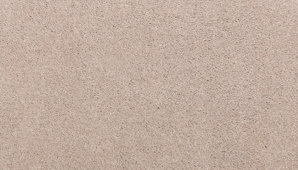 Close-up of Noble Surface Pet Friendly Carpet in Nomad—light beige, stain-resistant, with a soft textured surface, uniform pattern, fine fibers, and subtle color variation.