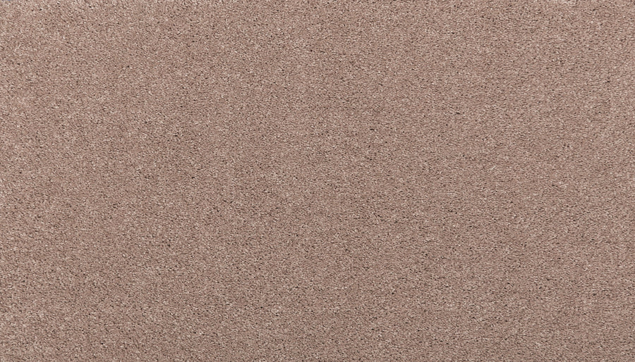 A close-up of Noble Surface Pet Friendly Carpet in Timeless shows a uniform, light brown color and a slightly rough, grainy texture reminiscent of fine sandpaper.