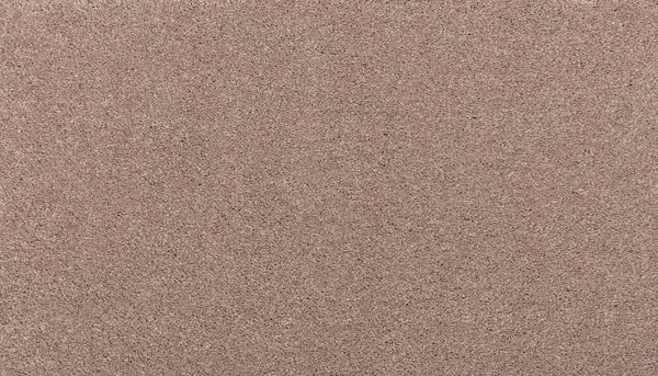 A close-up of Noble Surface Pet Friendly Carpet in Timeless shows a uniform, light brown color and a slightly rough, grainy texture reminiscent of fine sandpaper.