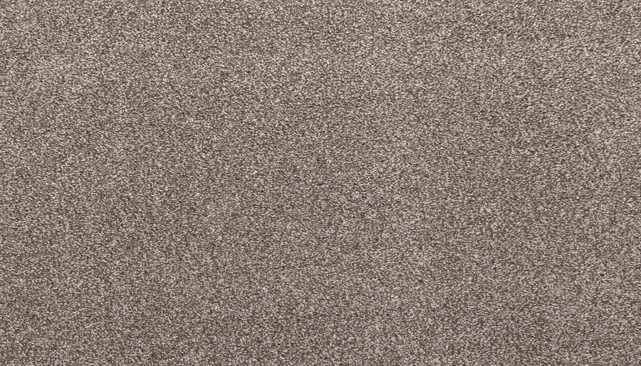 Close-up view of Noble Surface Pet Friendly Carpet in Cascade color, featuring a soft, dense pile with a uniform, textured surface and durable construction.