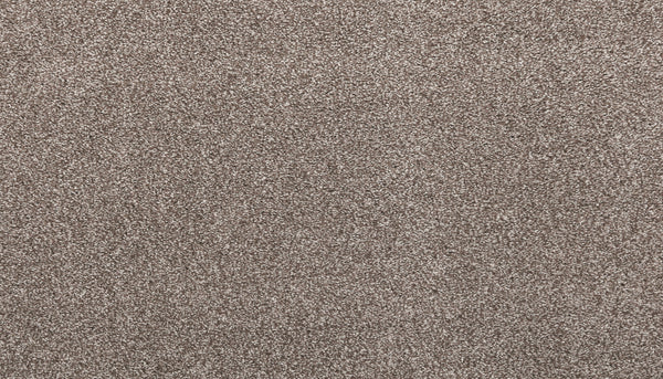 Close-up view of Noble Surface Pet Friendly Carpet in Cascade color, featuring a soft, dense pile with a uniform, textured surface and durable construction.