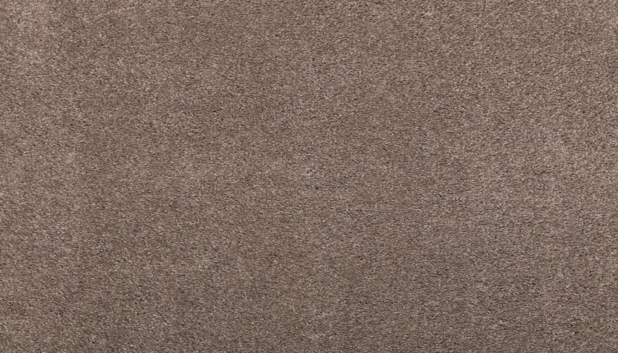 Close-up of Noble Surface Pet Friendly Carpet in Firewood, highlighting its soft, dense, and durable fibers with subtle shading variations for a textured yet even appearance—ideal for pet-friendly homes.