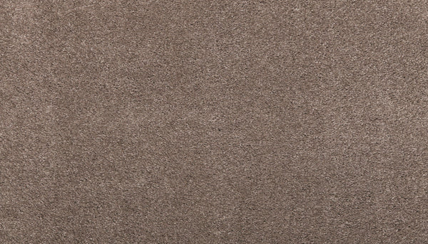 Close-up of Noble Surface Pet Friendly Carpet in Firewood, highlighting its soft, dense, and durable fibers with subtle shading variations for a textured yet even appearance—ideal for pet-friendly homes.