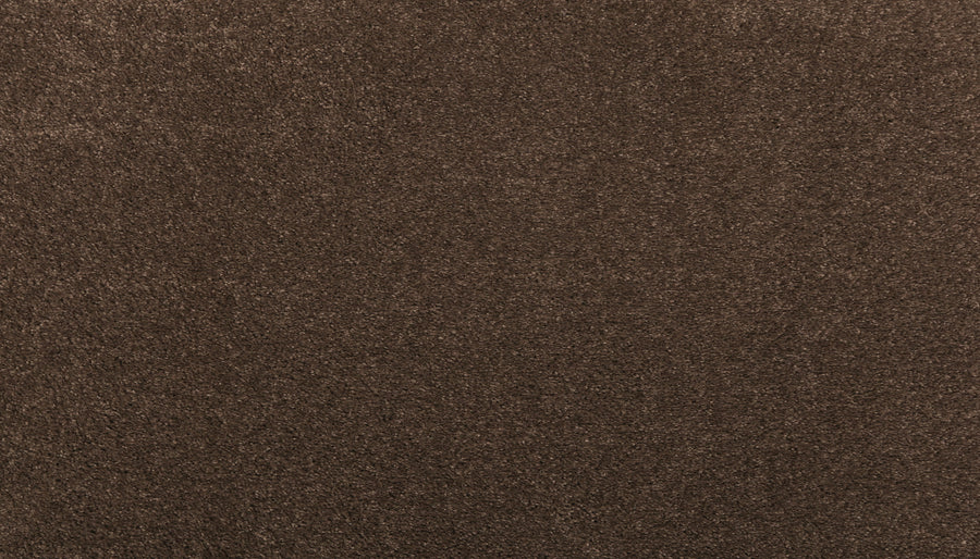 Close-up of Noble Surface Pet Friendly Carpet in Fortress—textured, soft, pet-friendly surface with consistent color throughout.