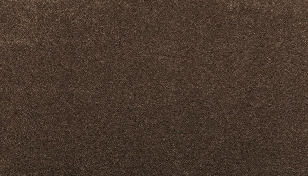 Close-up of Noble Surface Pet Friendly Carpet in Fortress—textured, soft, pet-friendly surface with consistent color throughout.