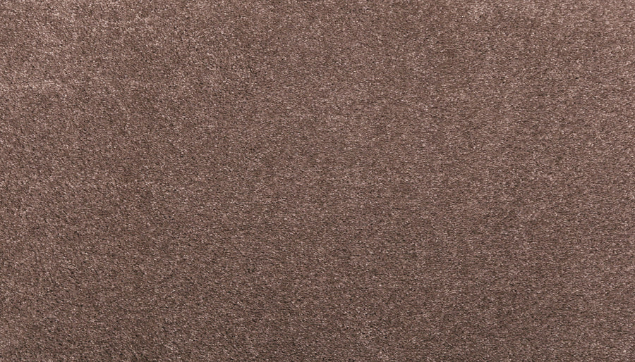Close-up of Noble Surface Pet Friendly Carpet in Chocolate Chip, showcasing its soft, textured surface and durable fibers for a warm, comfortable feel—perfect for homes with pets.